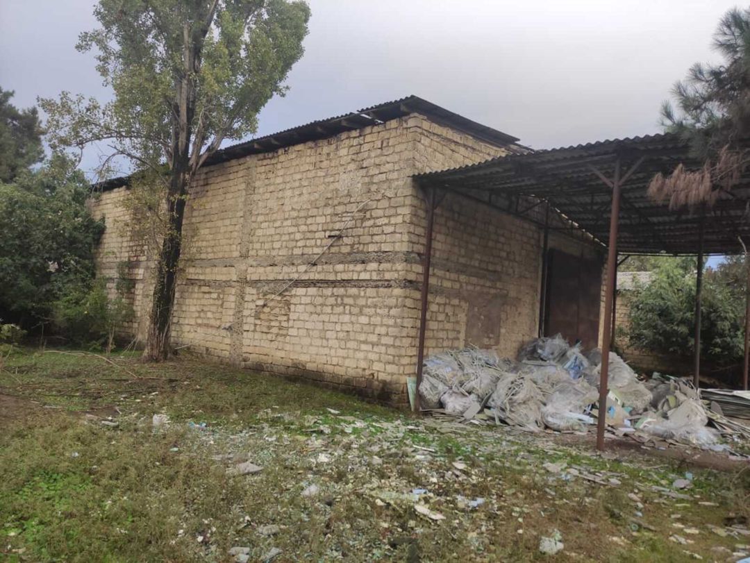 Satılır torpaq 137.9 sot — Torpaq, Masallı (4)