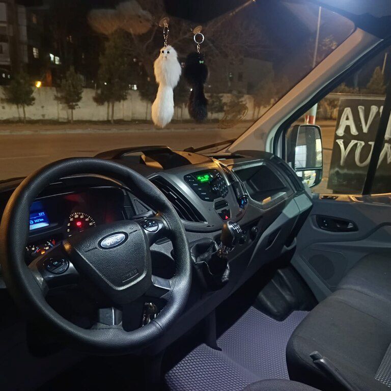 Ford Transit, 2.2 L, 2015 il, 280 000 km — Avtomobillər, Bakı (2)