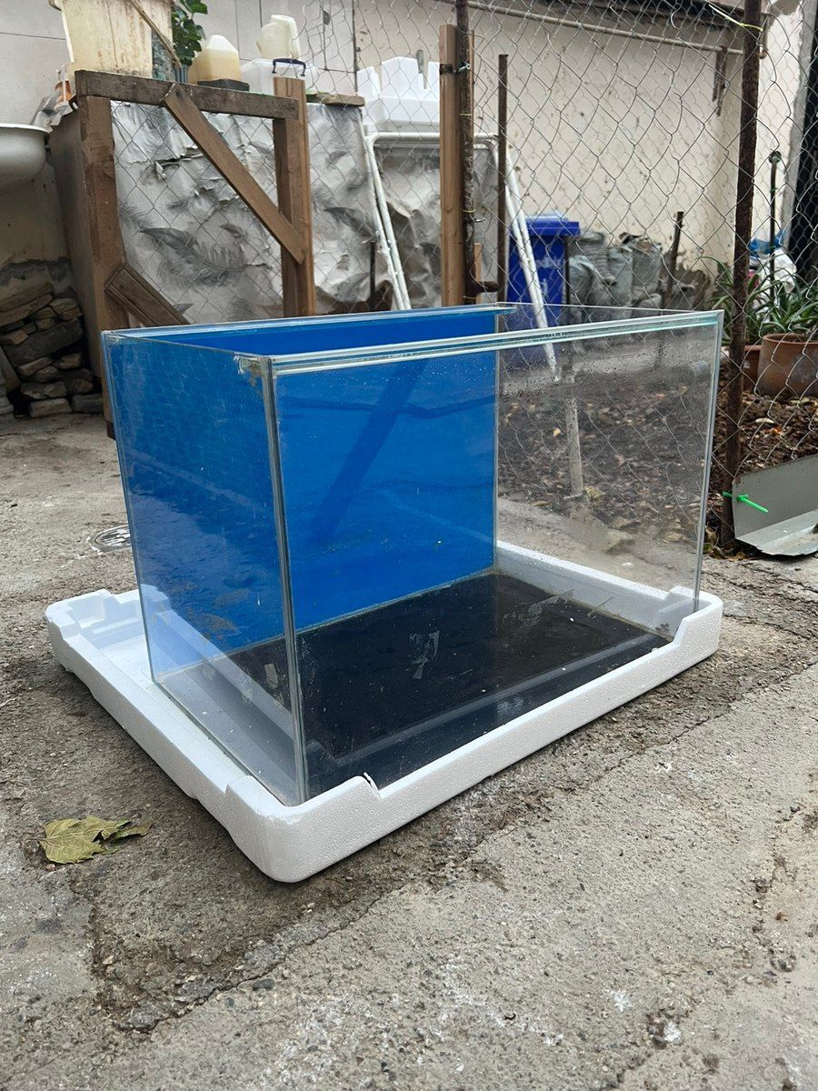 Akvarium — Akvariumlar və balıqlar, Bakı (2)