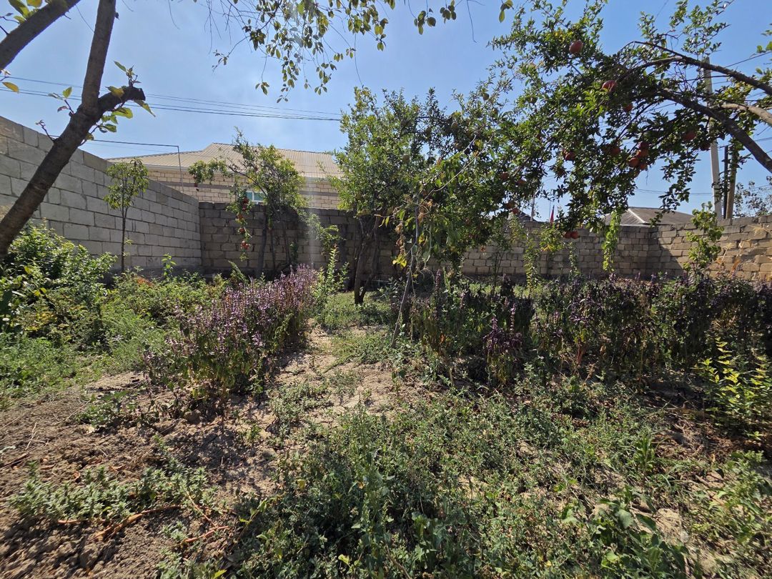 4 sot torpaq sahəsi, Şirvan r — Torpaq, Şirvan (6)