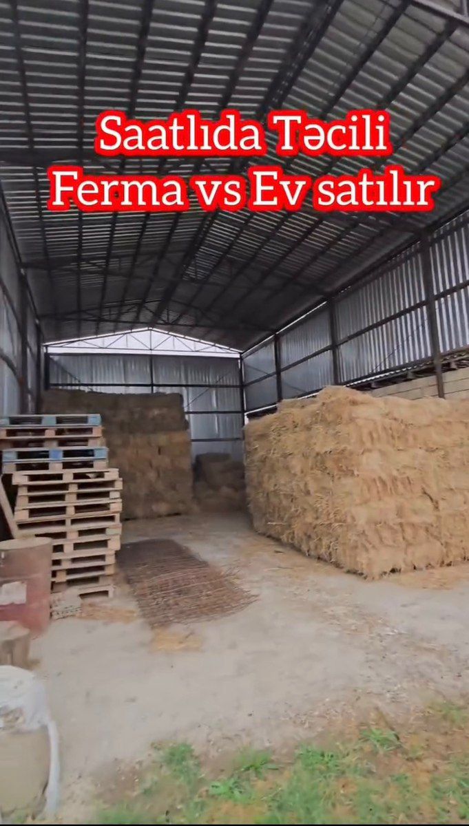 Həyət evi, Saatlı r — Ev, villa, Bakı (3)
