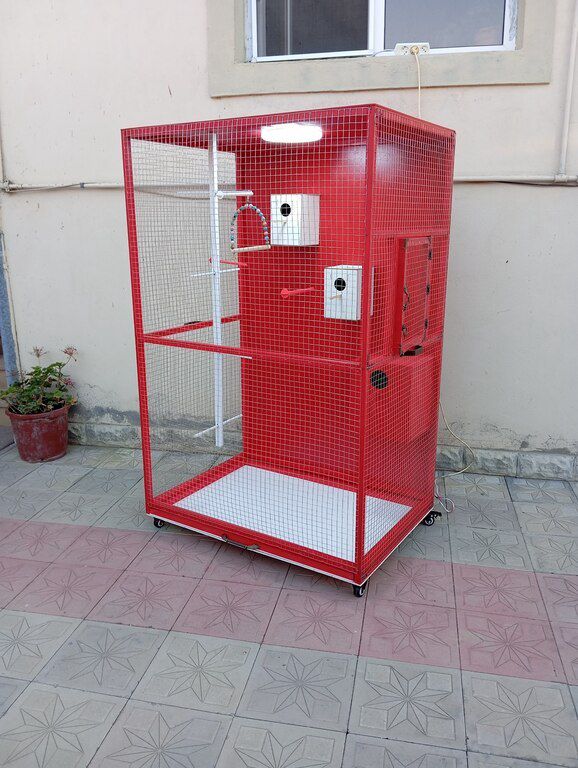 Qəfəs — Heyvan malları, Bakı