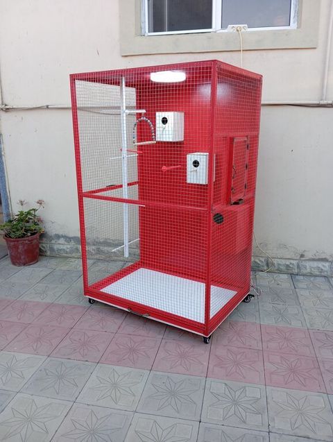 Qəfəs — Bakı
