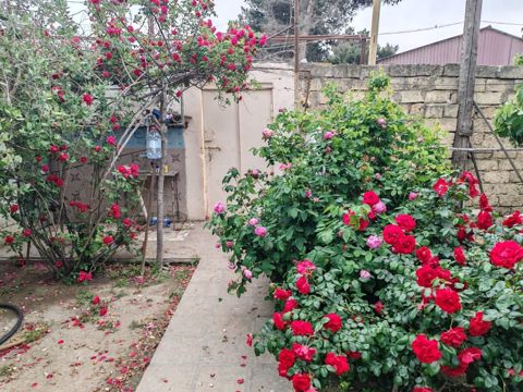 22 sot torpaq sahəsi, Novxanı qəs — 286 000 ₼ · 22 sot · Bakı · Torpaq 22 sot torpaq sahəsi, Novxanı qəs — Bakı