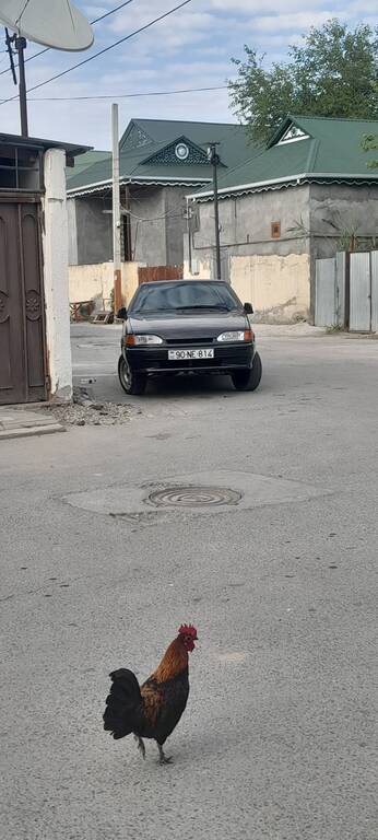 Lada (VAZ) 2114, 1.6 L, 2012 il, 380 000 km 90-NE-814 — Avtomobillər, Kürdəmir (9)