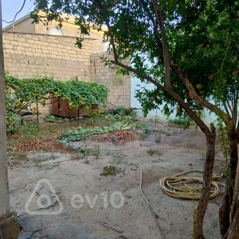 1 otaqlı həyət evi, 55 m², Yahya Hüseynov 33 — kirayə — Ev, villa, Bakı (8)