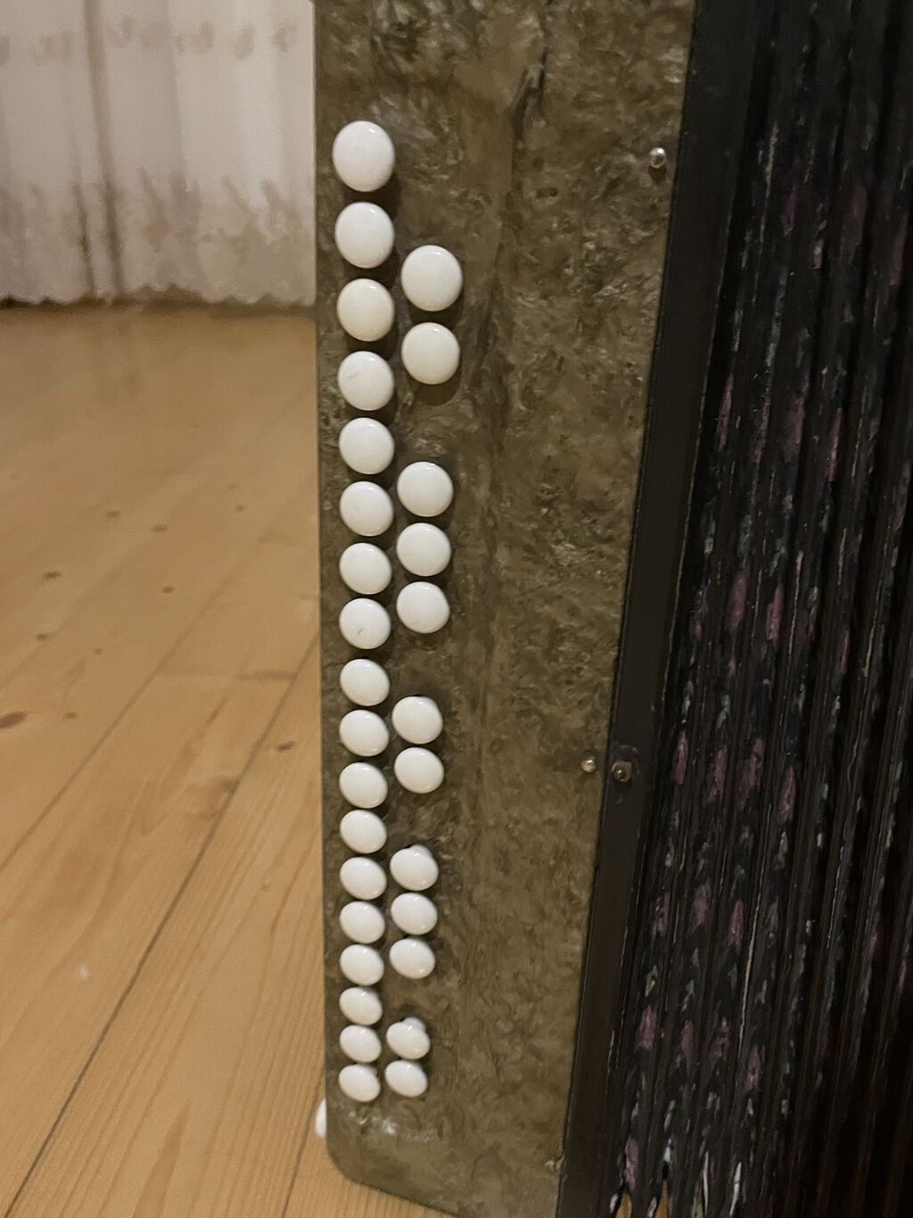 Qarmon, Akustik, İşlənmiş — Akkordeonlar, harmonilar, bayanlar, Bakı (4)