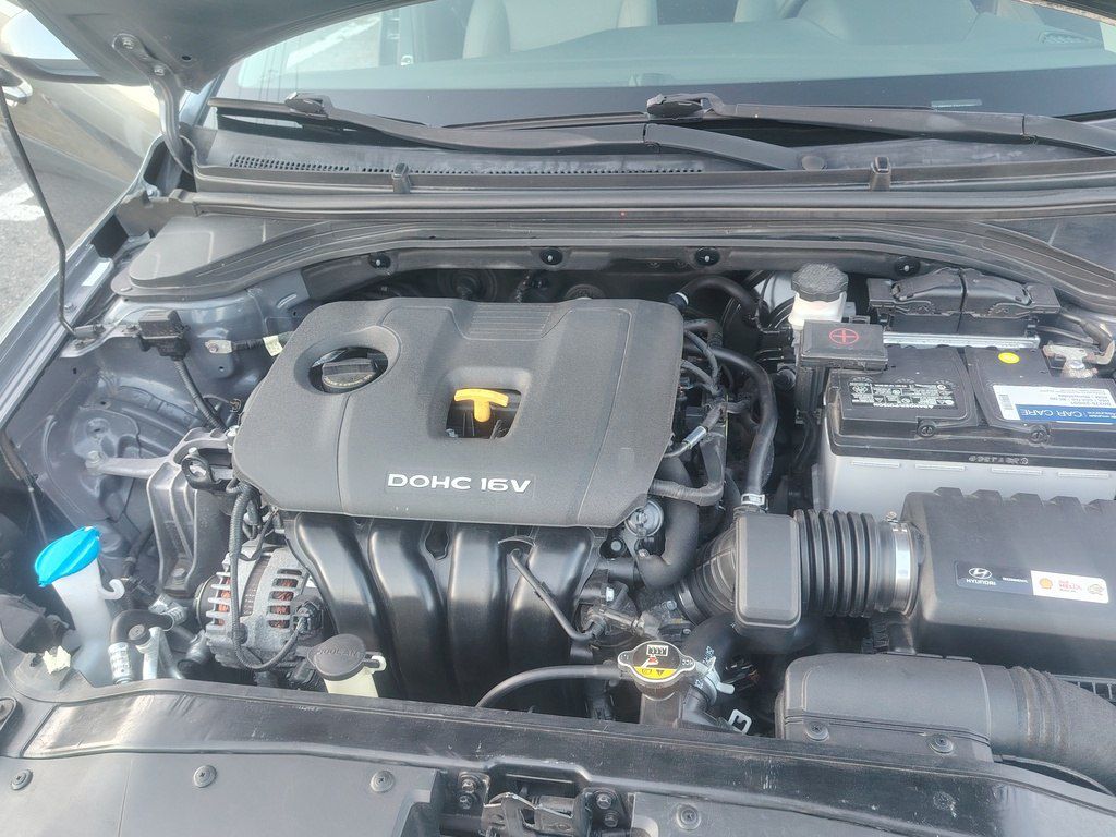 Hyundai Elantra, 2.0 L, 2018 il, 117 000 km 88-DP-496 — Avtomobillər, Şəki (2)