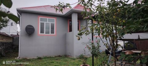 Həyət evi kirayə verilir, Qəbələ ş — Qəbələ