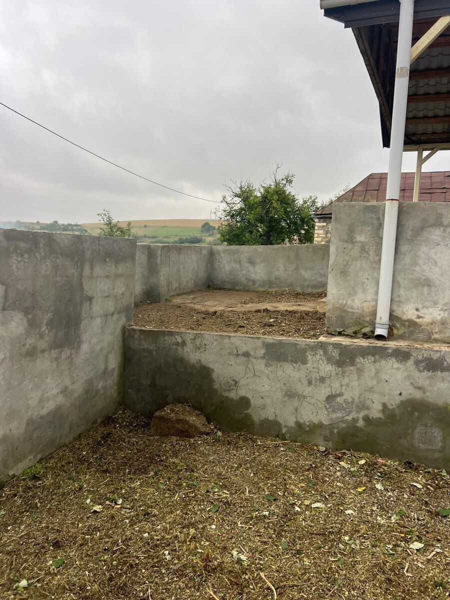Həyət evi, Şəmkir ş — Ev, villa, Bakı (6)