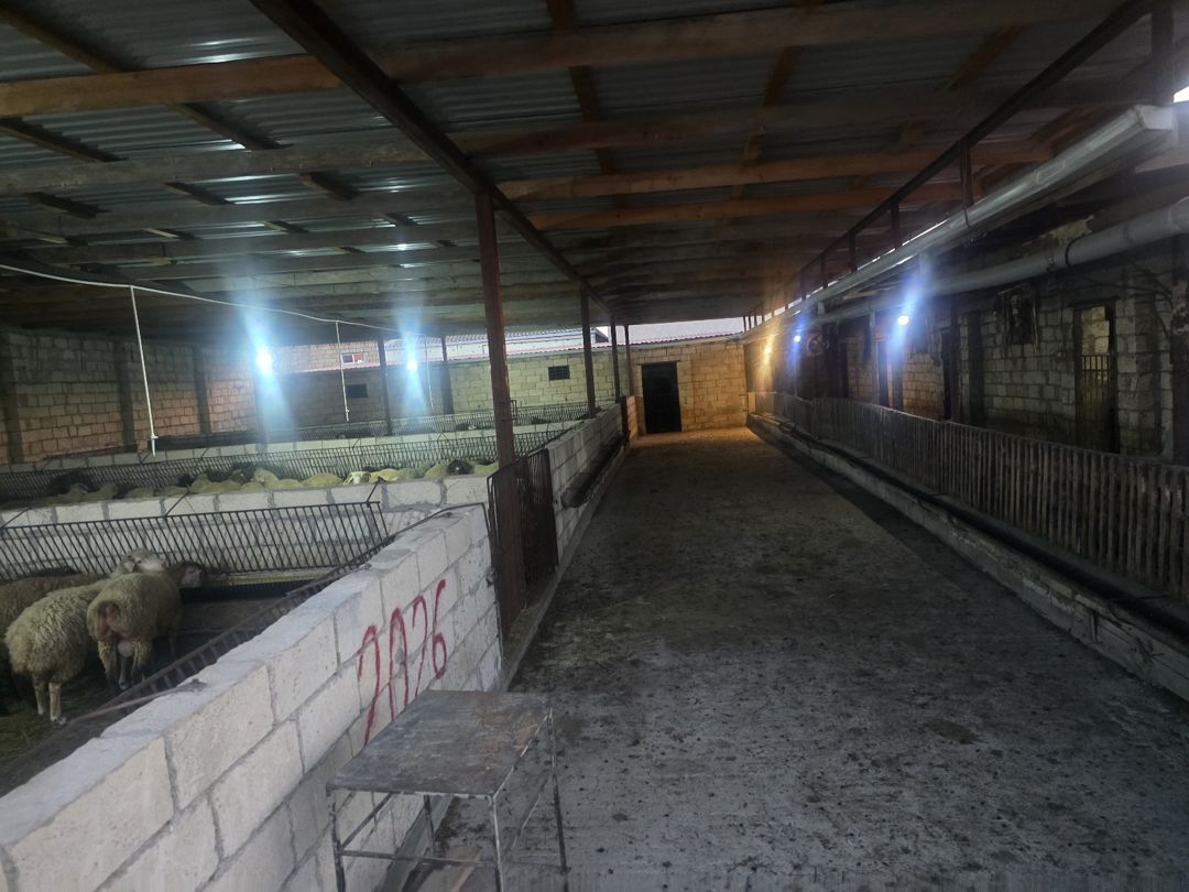 Həyət evi, Ceyranbatan qəs — Ev, villa, Sumqayıt (10)
