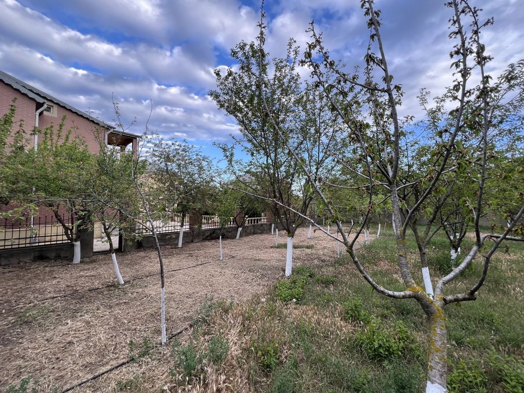 İcarəyə verilir 4 otaqlı həyət evi/bağ evi 200 m² — Ev, villa, Bakı (9)