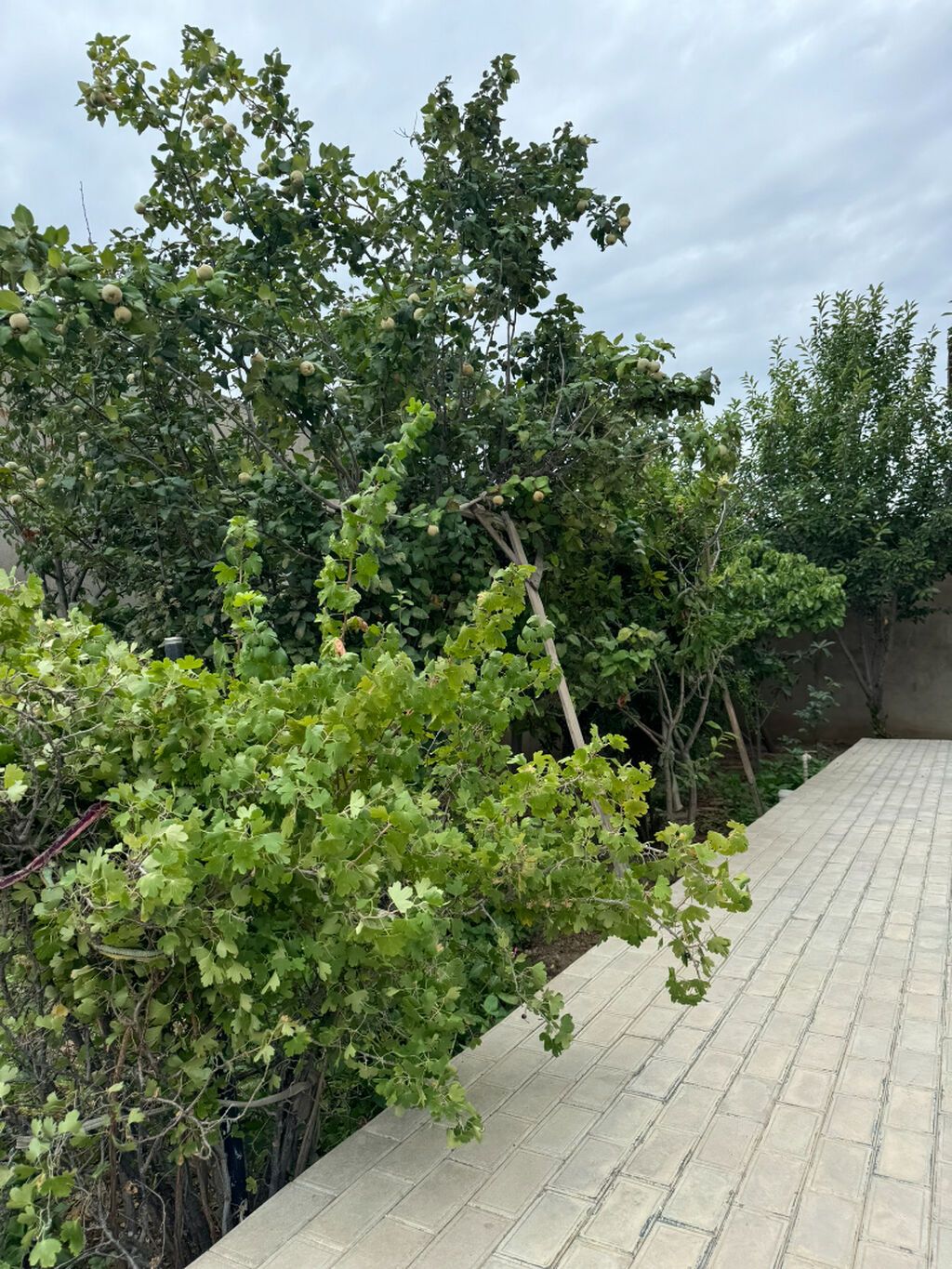 6 otaqlı, 300 kv. m, Yeni təmirli — Ev, villa, Bakı (9)