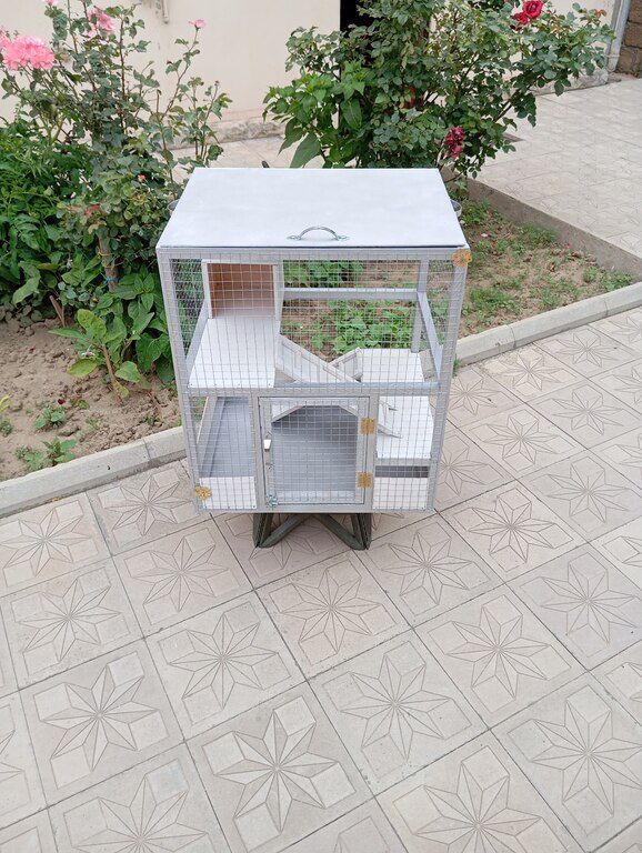 Qəfəs — Heyvan malları, Bakı (3)