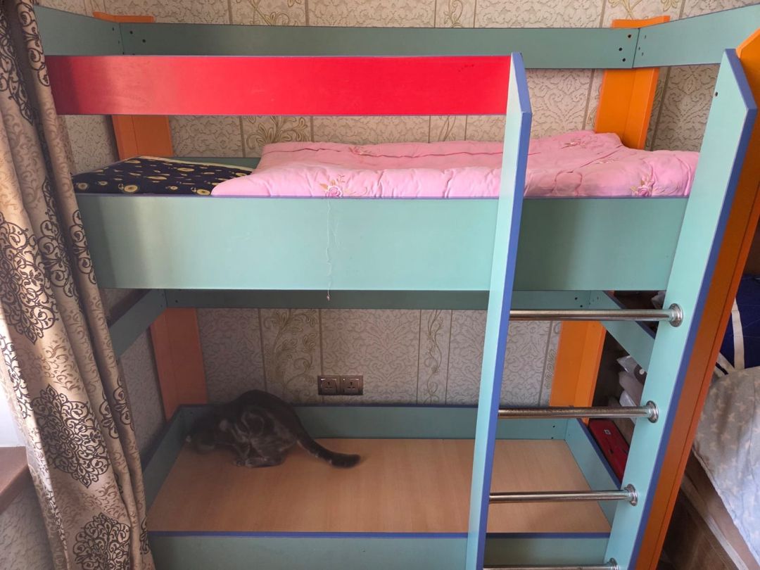İkimərtəbəli çarpayı — Mebel, Bakı (2)