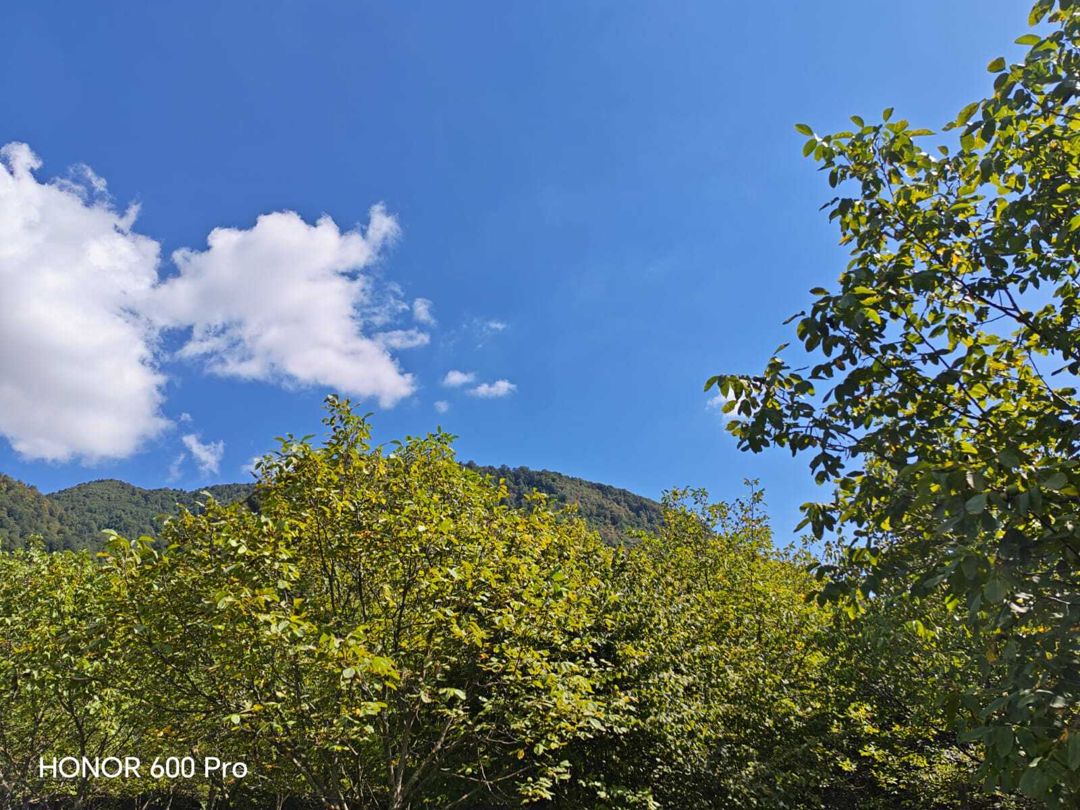 Satılır torpaq 7 sot — Torpaq, Qəbələ (7)