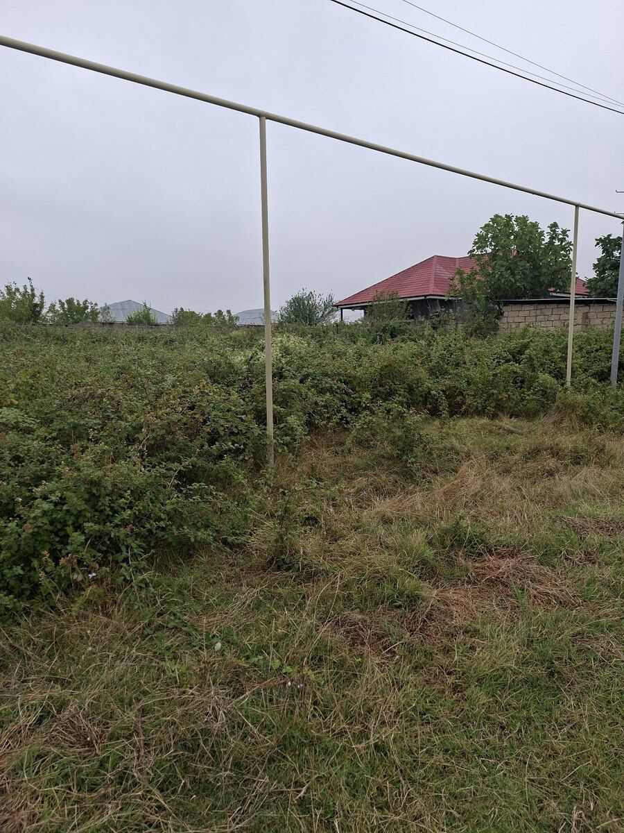 6 sot torpaq sahəsi, Şəki ş — Torpaq, Şəki (2)