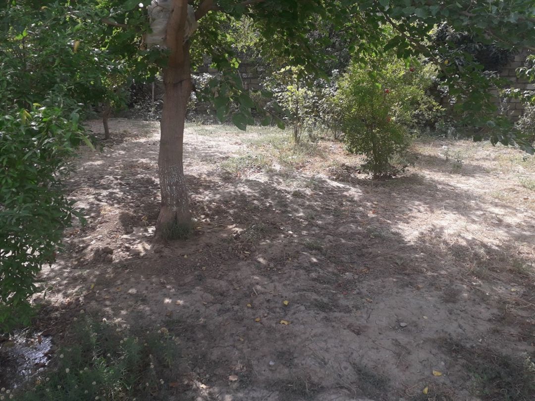 Satılır torpaq 23 sot — Torpaq, Bakı (2)