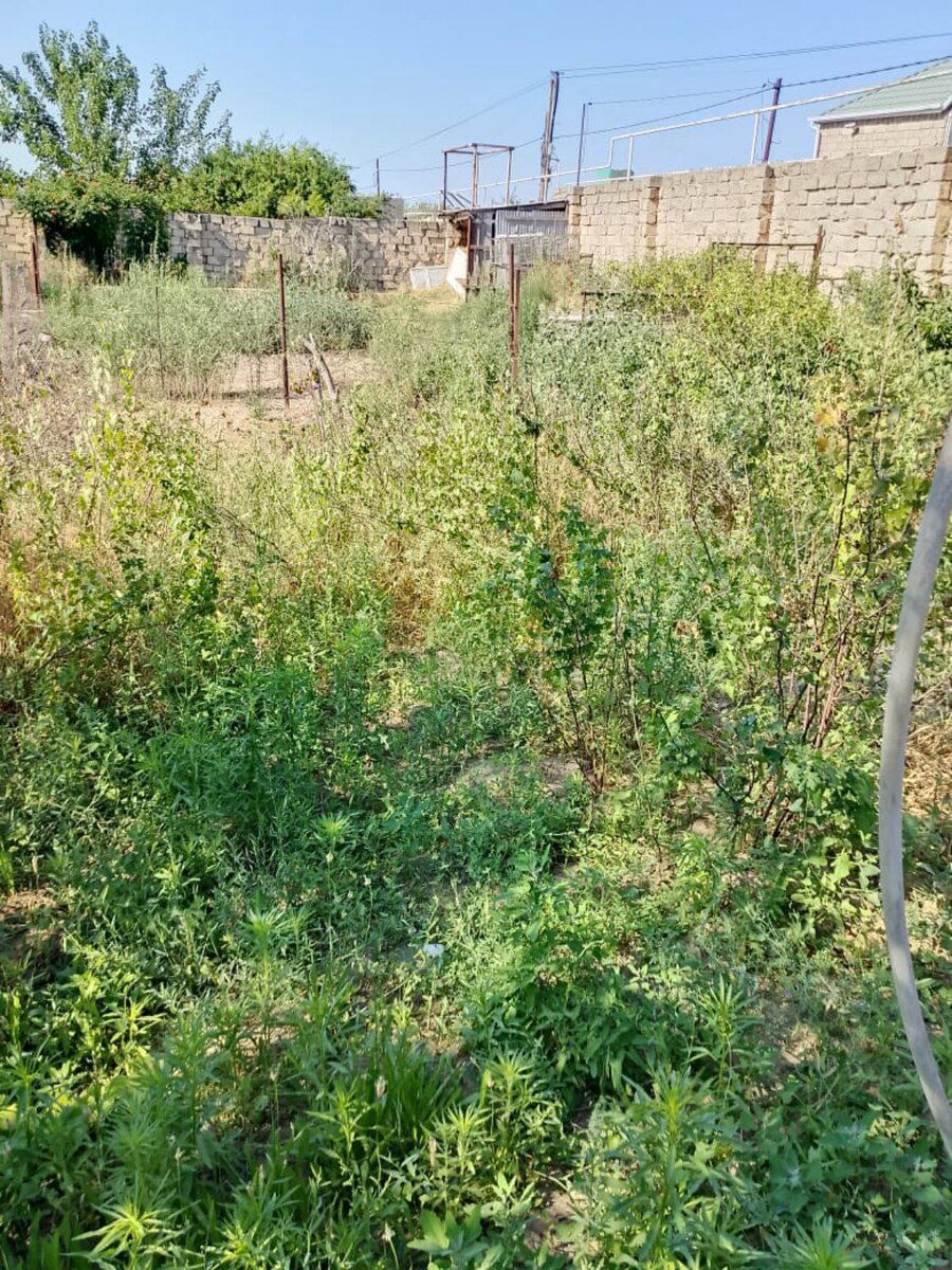 2.5 sot torpaq sahəsi, Kürdəxanı qəs — Torpaq, Bakı (2)