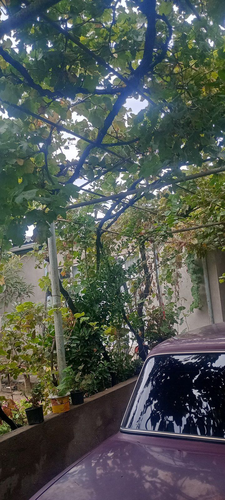 Satılır 3 otaqlı həyət evi/bağ evi 110 m² — Ev, villa, Bakı (8)