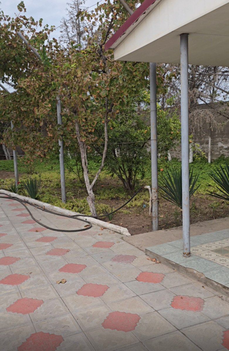 Satılır torpaq 9 sot — Torpaq, Bakı (4)