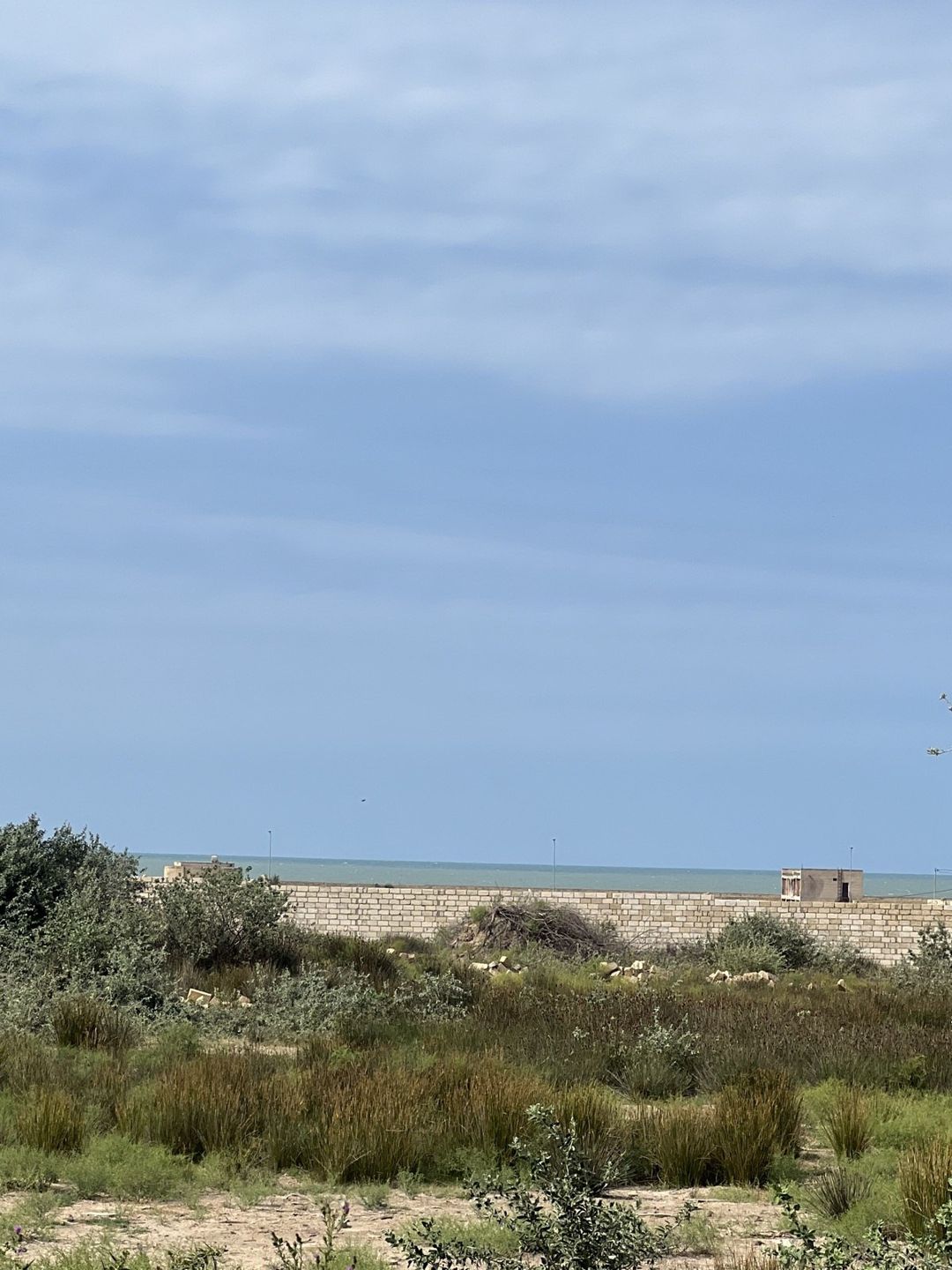 Satılır torpaq 12 sot — Torpaq, Bakı