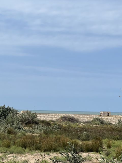 Satılır torpaq 12 sot — Bakı