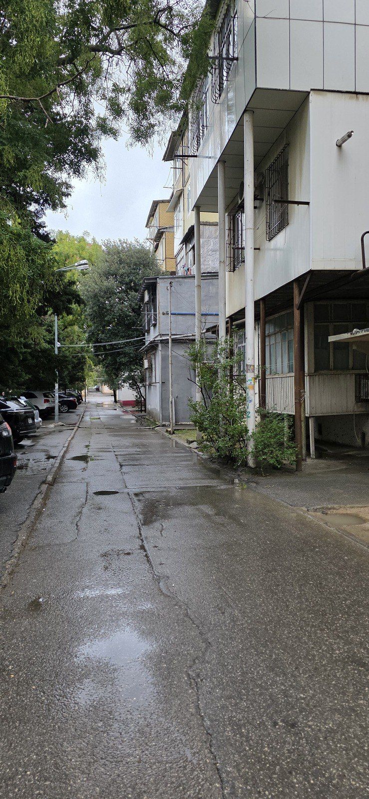 2-otaqlı mənzil kirayə verilir, Binəqədi r., 45 m² — Mənzil, Bakı (2)