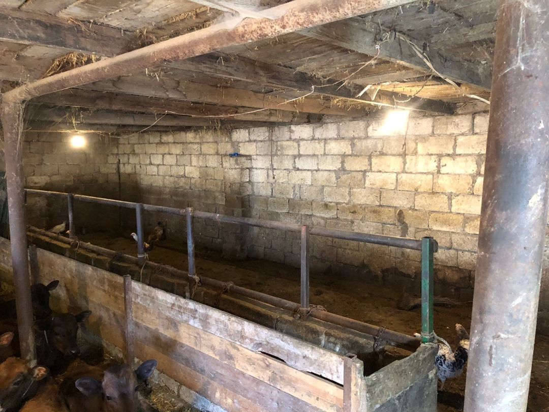 Bağ evi, Şamaxı r — Ev, villa, Şamaxı (9)