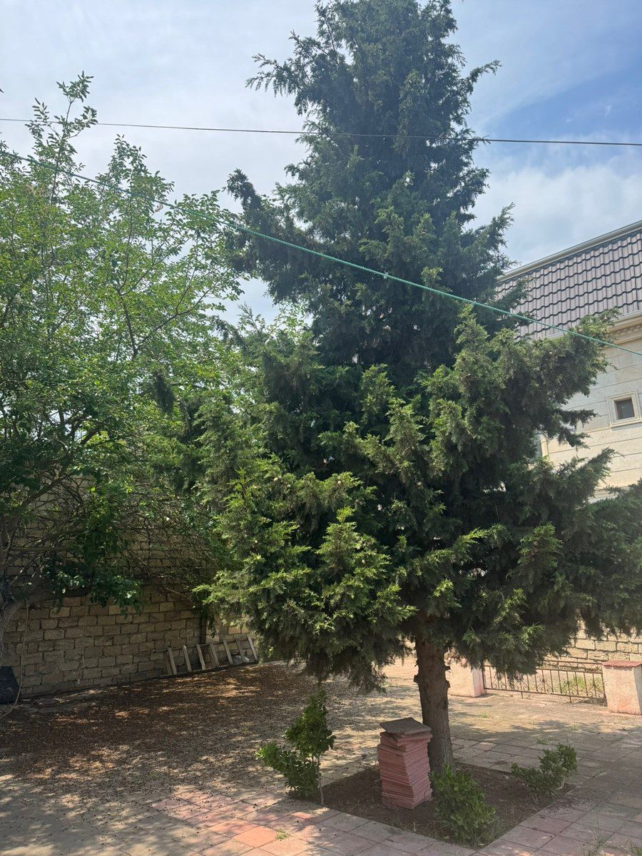 14 sot torpaq sahəsi, Bilgəh qəs — Torpaq, Bakı (4)