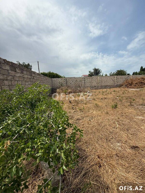 Torpaq Satılır Sabunçu r., Maştağa q., 12 sot — Torpaq, Bakı (3)