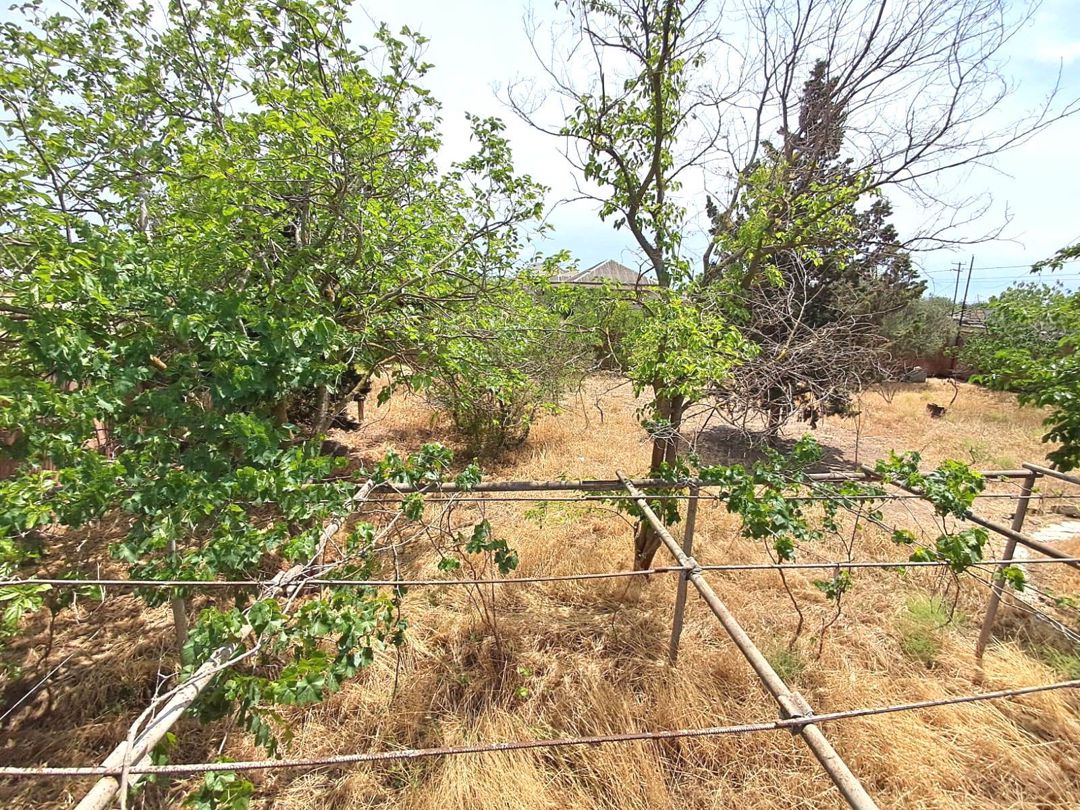 Satılır 7 otaqlı həyət evi/bağ evi 140 m² — Ev, villa, Bakı (2)
