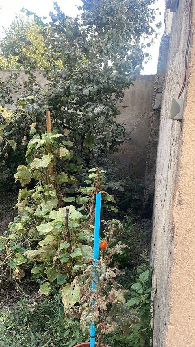 Satılır 7 otaqlı həyət evi/bağ evi 200 m² — Ev, villa, Bakı (11)