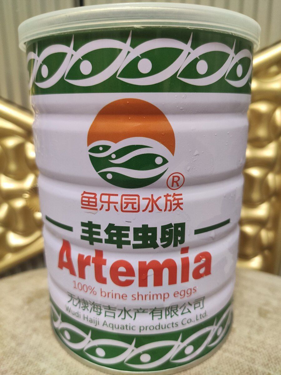 Artemiya yumurtaları — Akvariumlar və balıqlar, Bakı