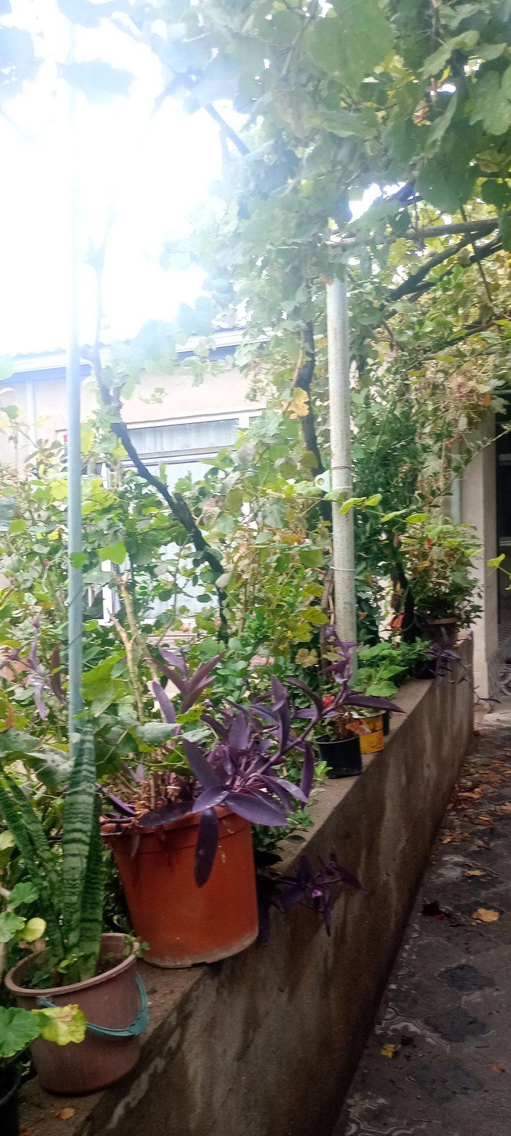 Satılır 3 otaqlı həyət evi/bağ evi 110 m² — Ev, villa, Bakı (9)