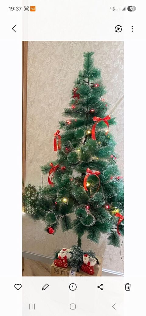 Yeni il ağacı — Bakı