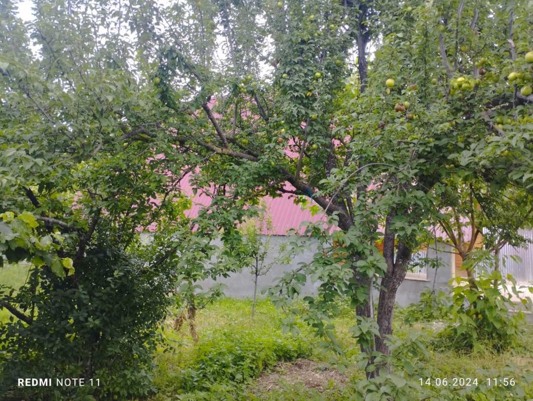 İcarəyə verilir 3 otaqlı həyət evi/bağ evi 100 m² — Ev, villa, İsmayıllı (3)