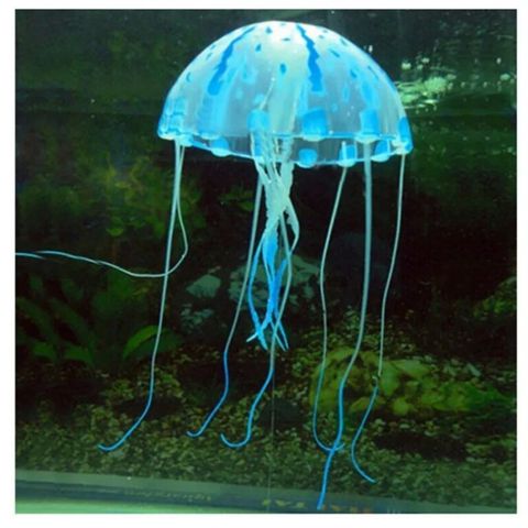 Meduza — Bakı