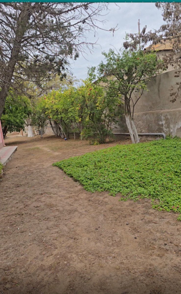 Satılır torpaq 9 sot — Torpaq, Bakı (2)