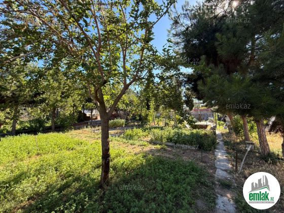Satılır 7 sot torpaq Şağan — Torpaq (6)