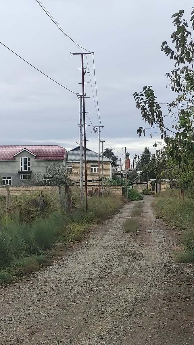 Satılır torpaq 6 sot — Torpaq, Masallı (2)