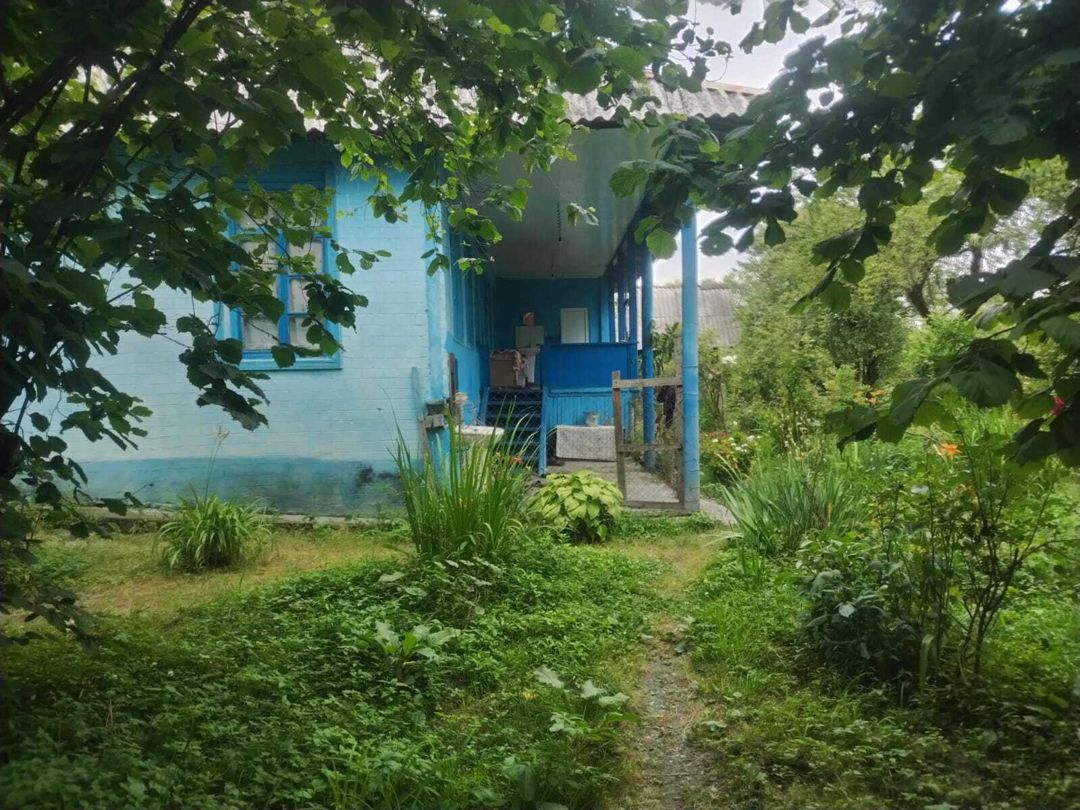 Satılır 3 otaqlı həyət evi/bağ evi 90 m² — Ev, villa, Qəbələ (4)