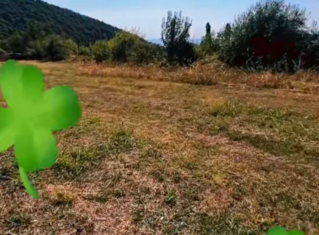 5 sot, Tikinti, Mülkiyyətçi — Torpaq, Qax (4)