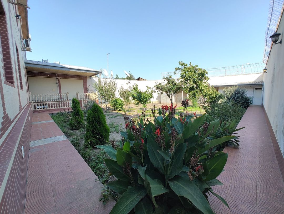 Həyət evi, Gəncə ş — Ev, villa, Gəncə (11)