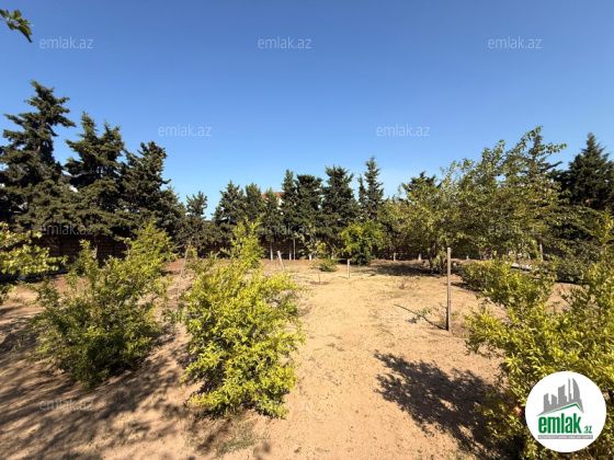 Satılır 11 sot torpaq Mərdəkan — Torpaq (2)