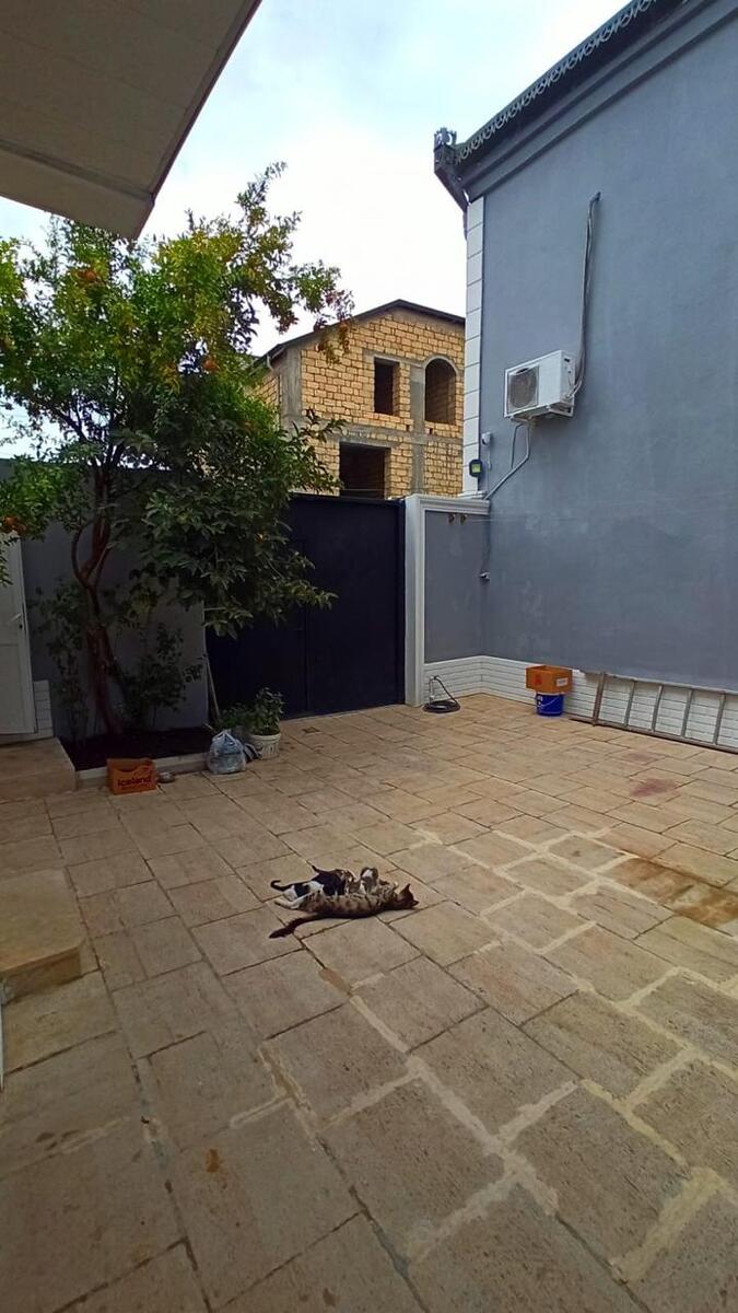Satılır 6 otaqlı həyət evi/bağ evi 200 m² — Ev, villa, Bakı (12)