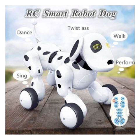 Oyuncaq robotlar — Bakı