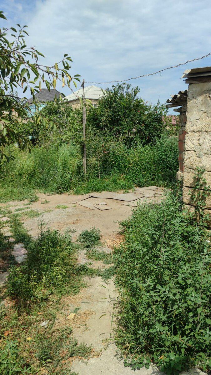 4.5 sot torpaq sahəsi, Corat qəs — Torpaq, Sumqayıt (4)