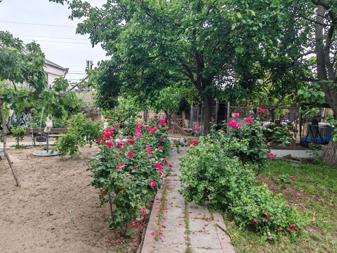 22 sot torpaq sahəsi, Novxanı qəs — Torpaq, Bakı (3)