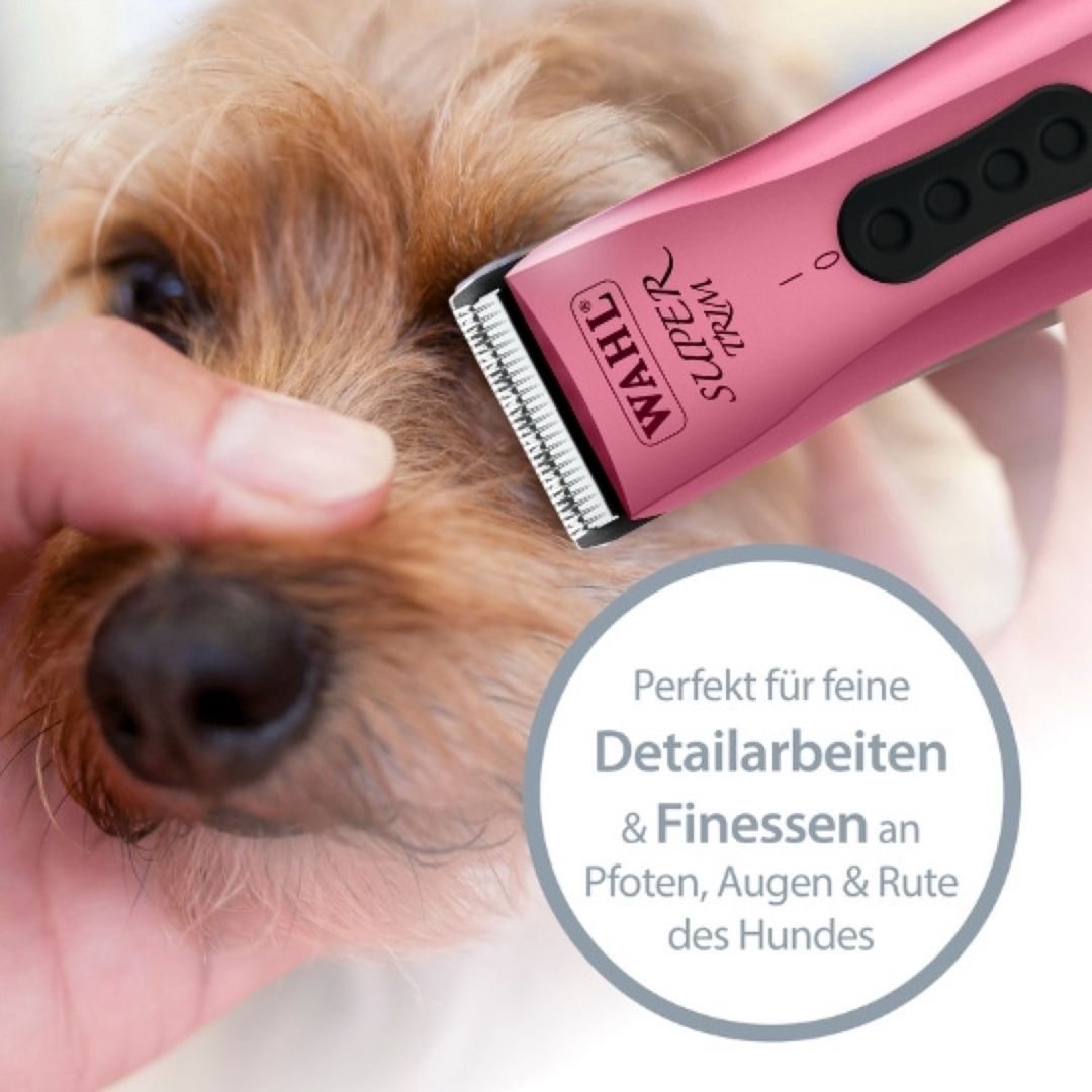 "Wahl Vetiva mini, Wahl Super Trim" təraş aparatları — Heyvan malları, Bakı (7)